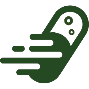 1gip - Logo Icon